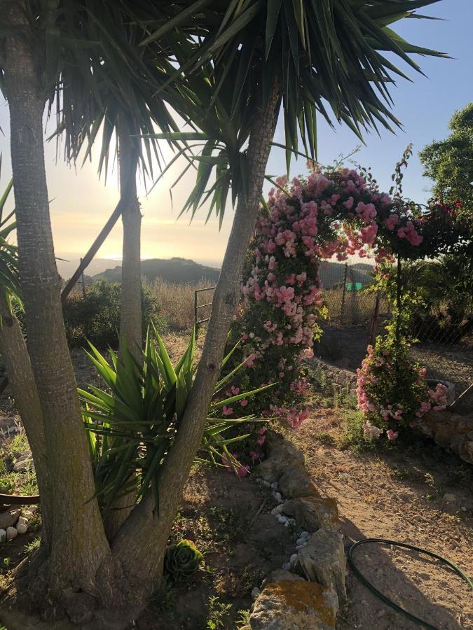 Las Ninas Vejer de la Frontera Eksteriør bilde